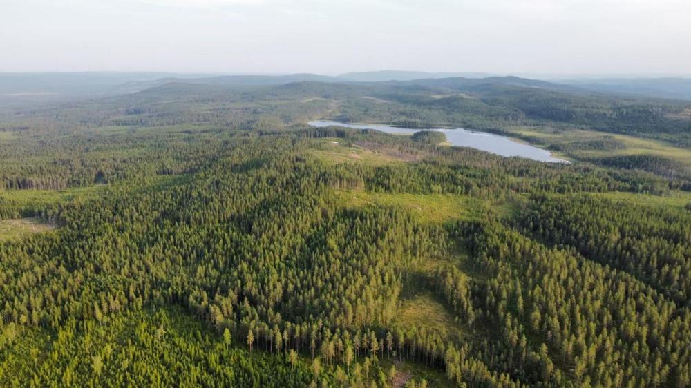Cozy Forest Cabin With Amazing Mountain View Torsby Bagian luar foto