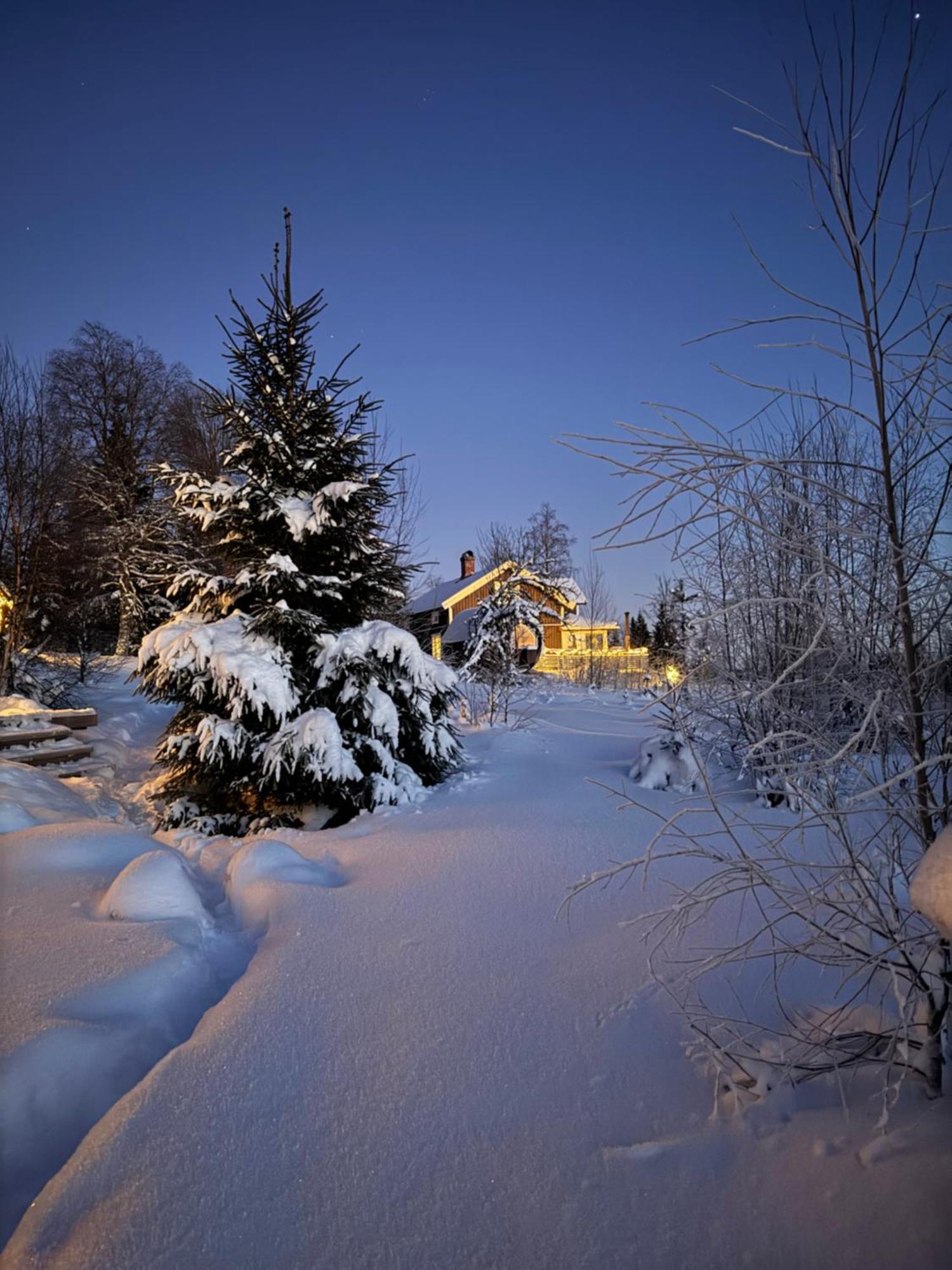 Cozy Forest Cabin With Amazing Mountain View Torsby Bagian luar foto