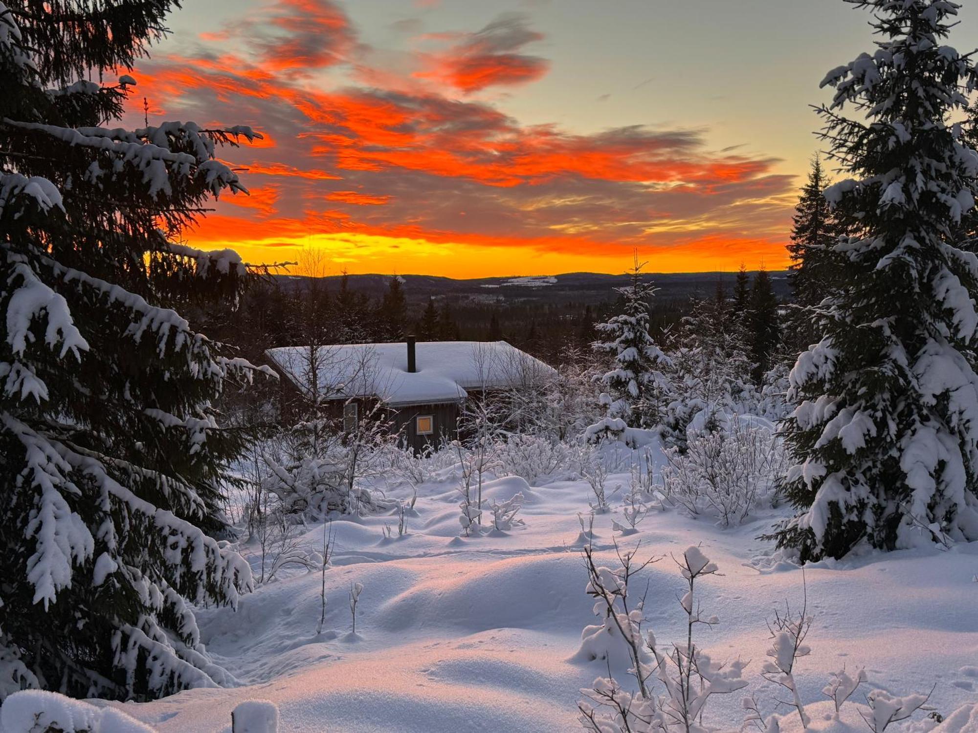 Cozy Forest Cabin With Amazing Mountain View Torsby Bagian luar foto