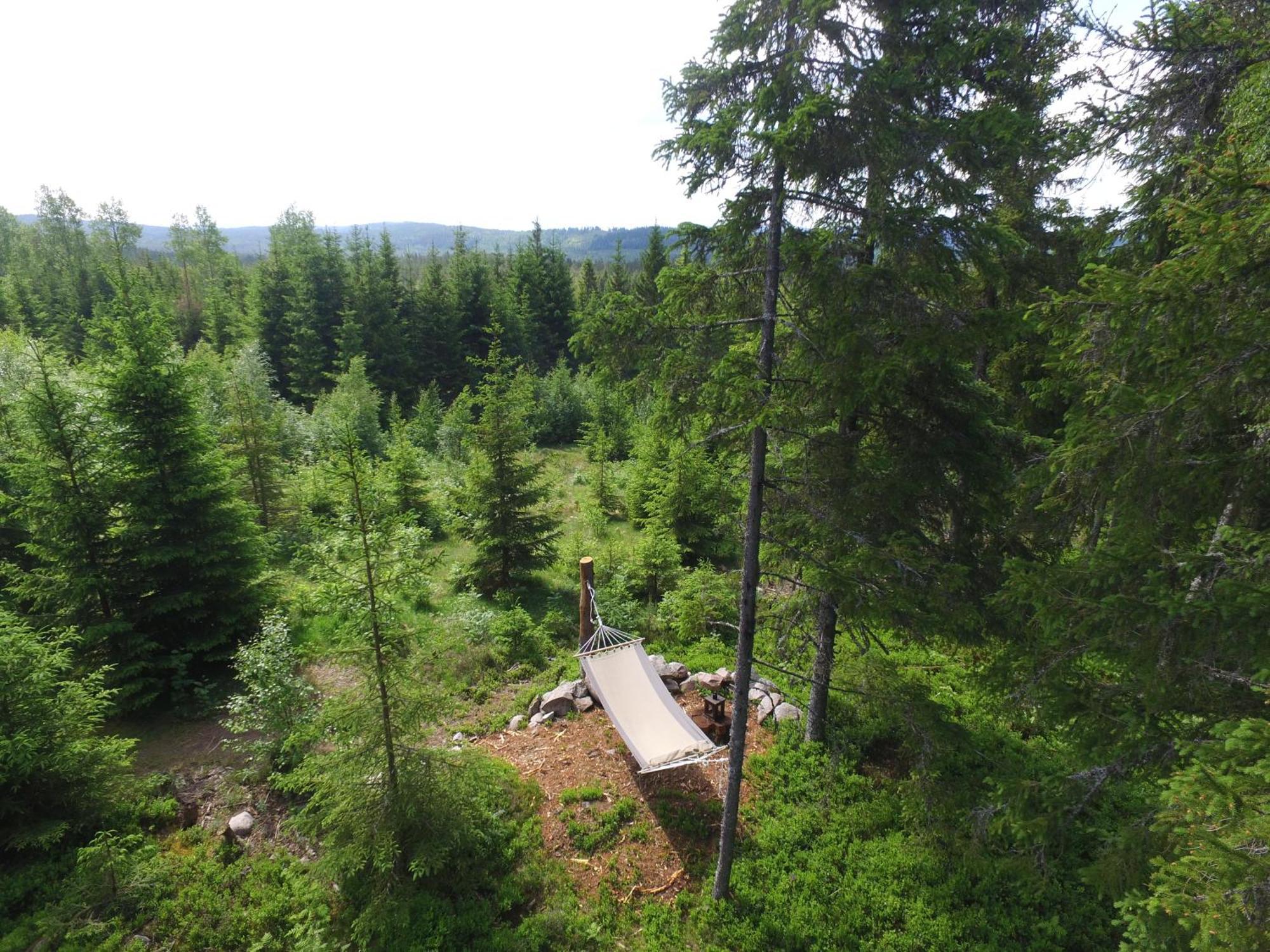 Cozy Forest Cabin With Amazing Mountain View Torsby Bagian luar foto